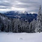 Bucegi Panorama