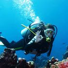 Buceo