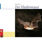 Buch: Die Fledermaus