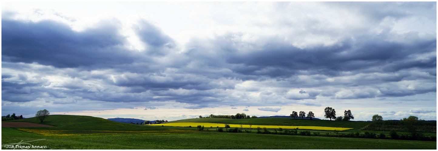 Buchackern#1_180501