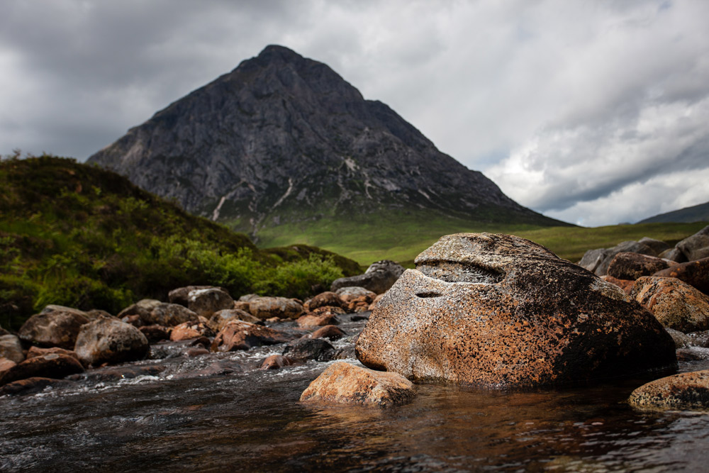 Buchaille