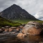 Buchaille