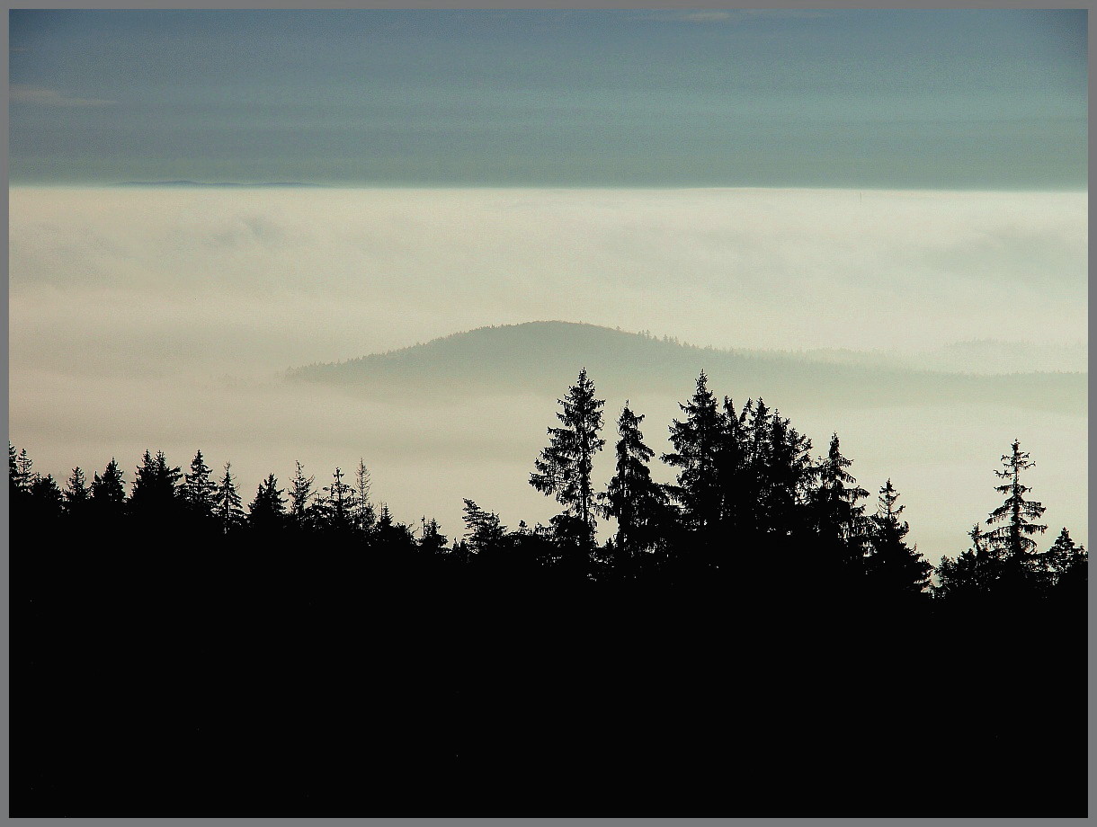 Buchberg im Nebel