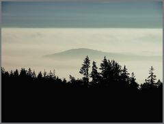 Buchberg im Nebel