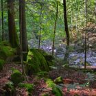 Buchberger Leite / Bayerischer Wald