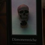 Buchcover: Dämonenreiche