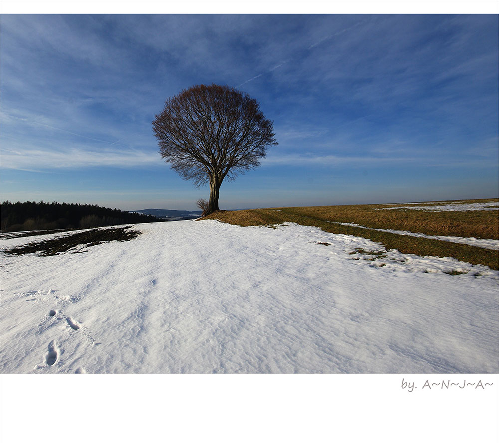 * Buche im Februar...*