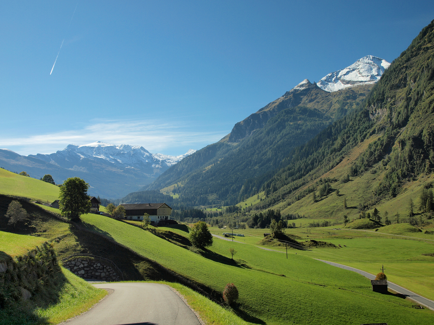 Bucheben im Rauriser Tal