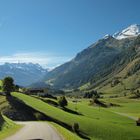 Bucheben im Rauriser Tal