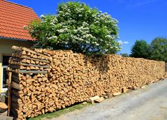 -Buchen Brennholz für die Holzvergaser Heizung-