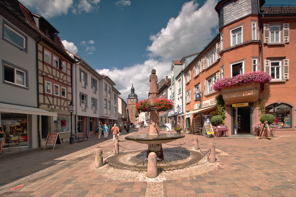 Buchen im Odenwald