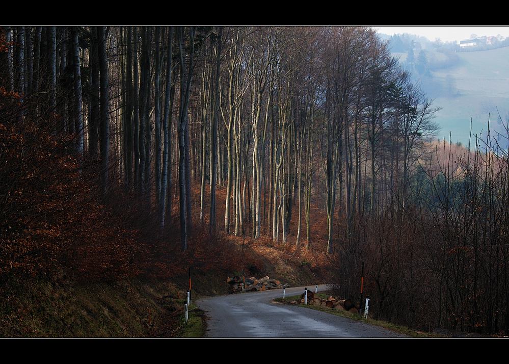 buchen sollst du suchen