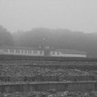 Buchenwald 02