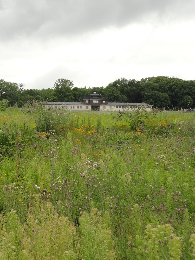 buchenwald