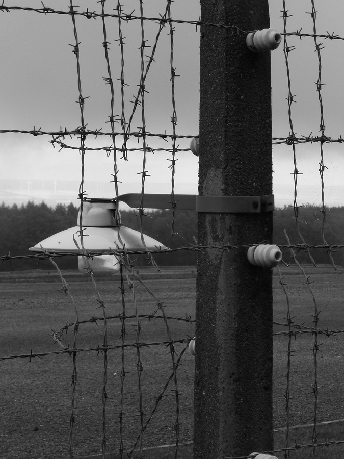 Buchenwald 2014