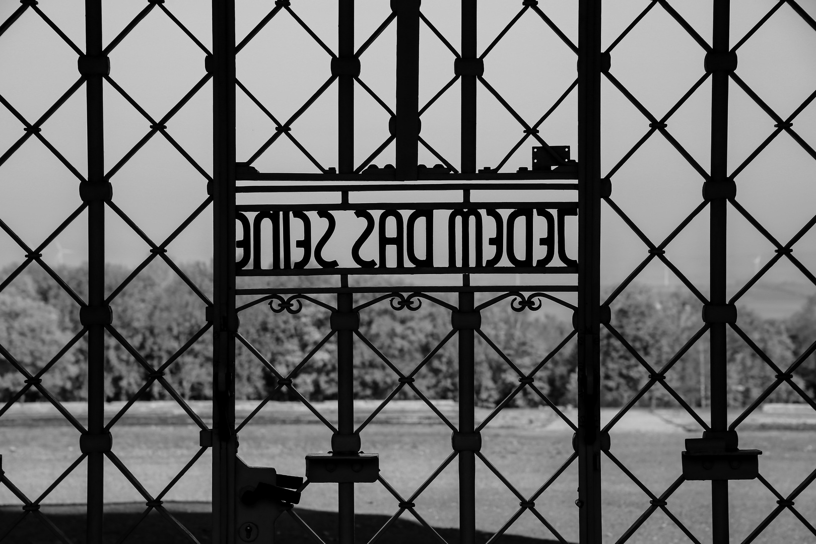 Buchenwald  2018...004