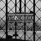 Buchenwald  2018...004