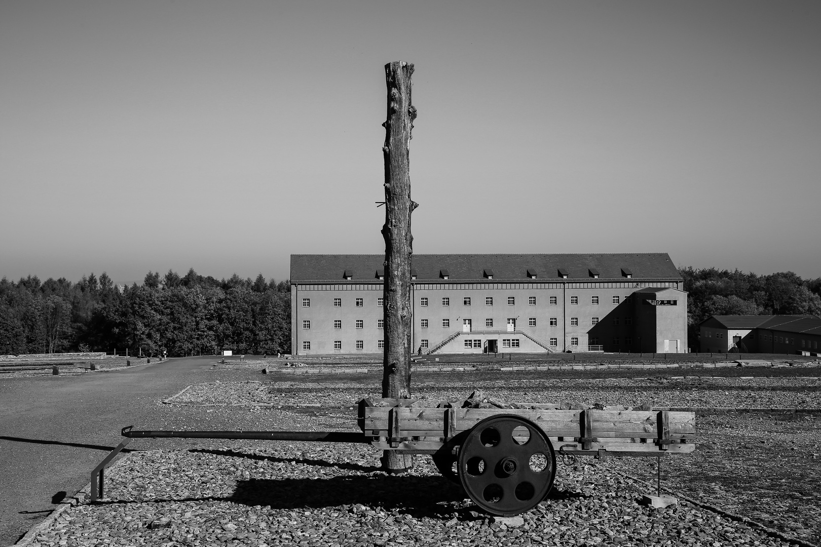 Buchenwald  2018...031