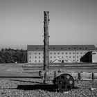 Buchenwald  2018...031