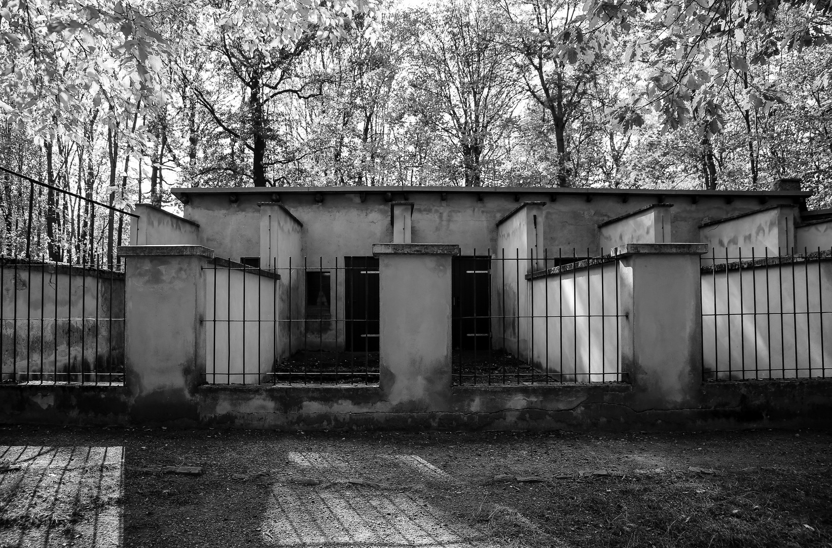 Buchenwald  2018...058