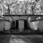 Buchenwald  2018...058