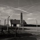 Buchenwald