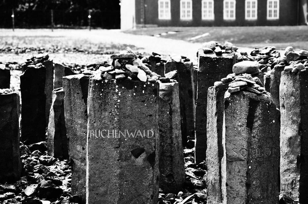 Buchenwald.