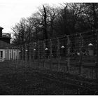 Buchenwald