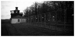 Buchenwald