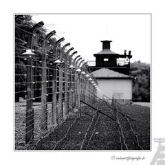 Buchenwald