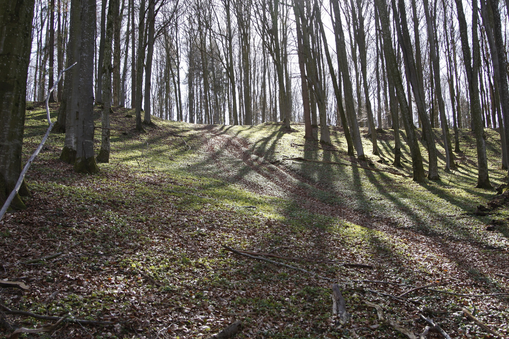 Buchenwald