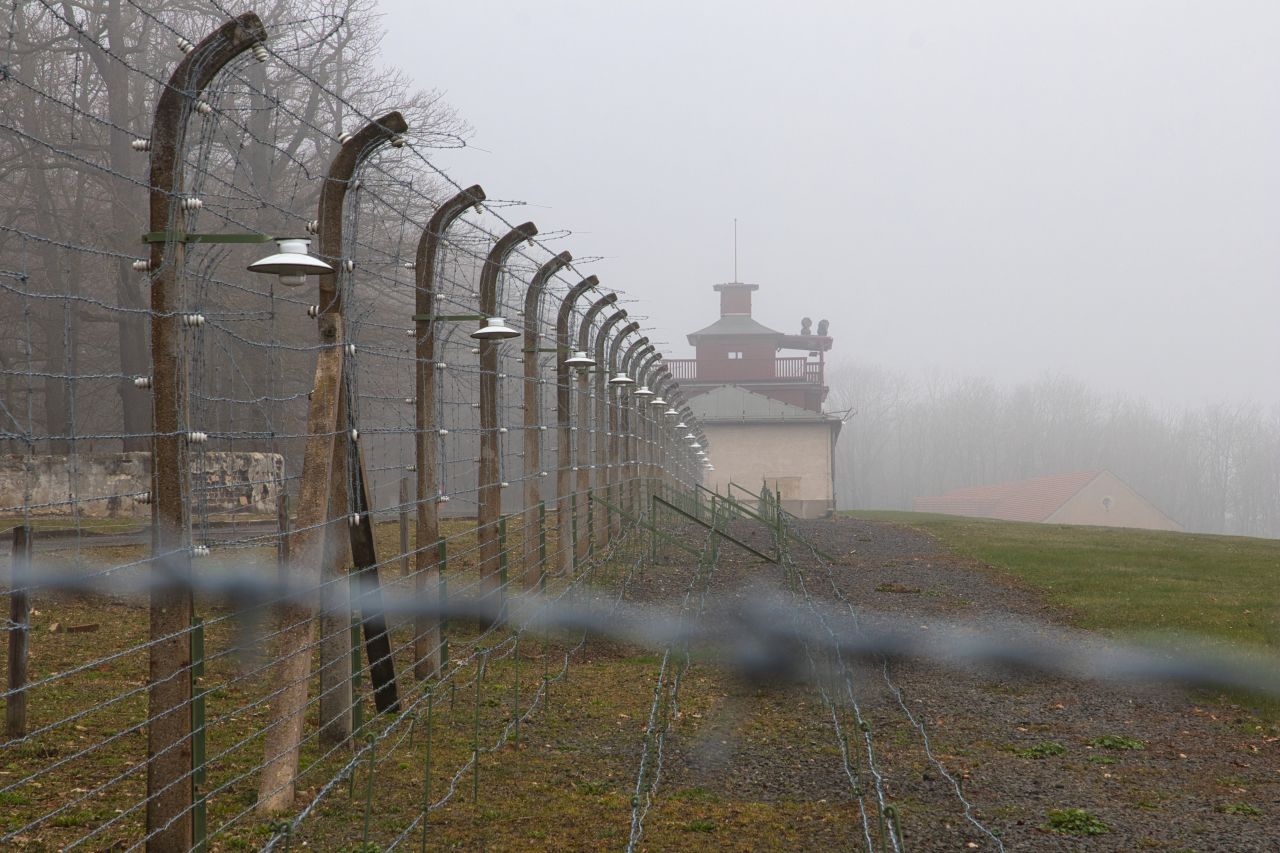 Buchenwald im Nebel