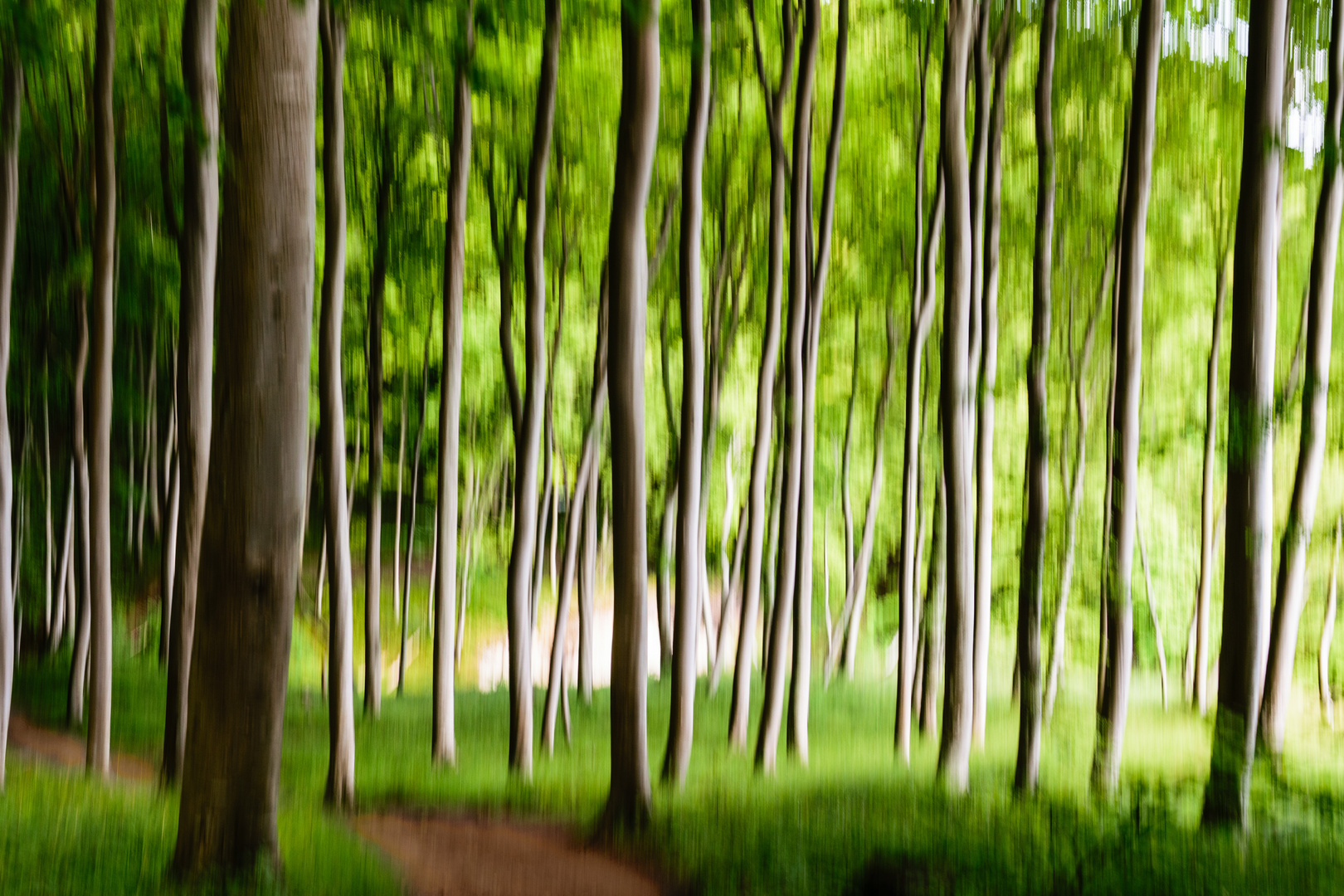 Buchenwald (panning shot)