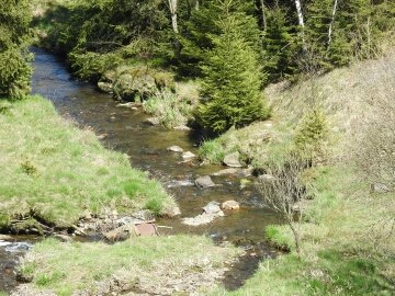 Buchhellertal 