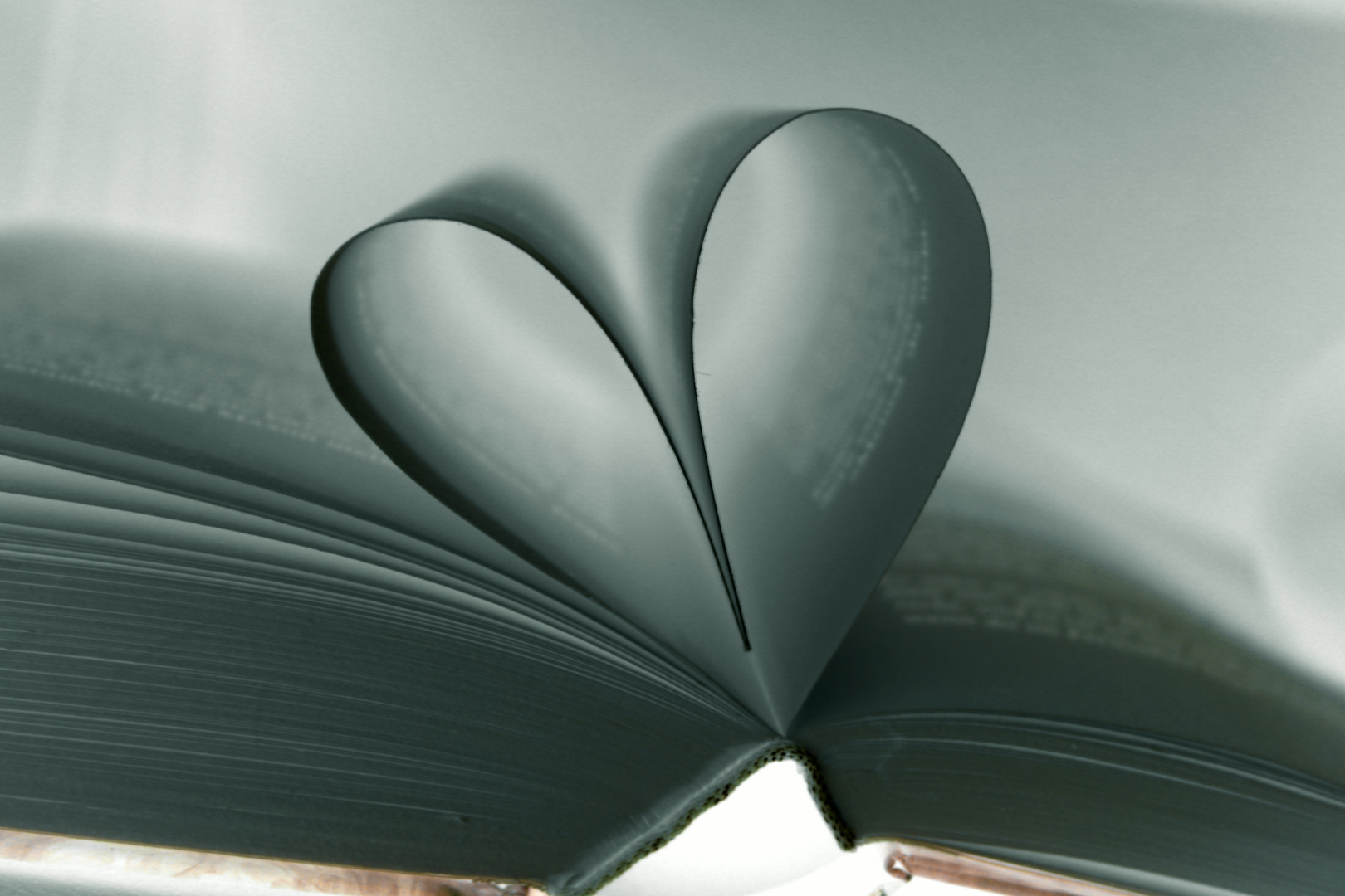 Buchherz fotografiert mit den Smart Filter Negativ / Paper Heart photographed with the SmartFilter n