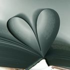 Buchherz fotografiert mit den Smart Filter Negativ / Paper Heart photographed with the SmartFilter n