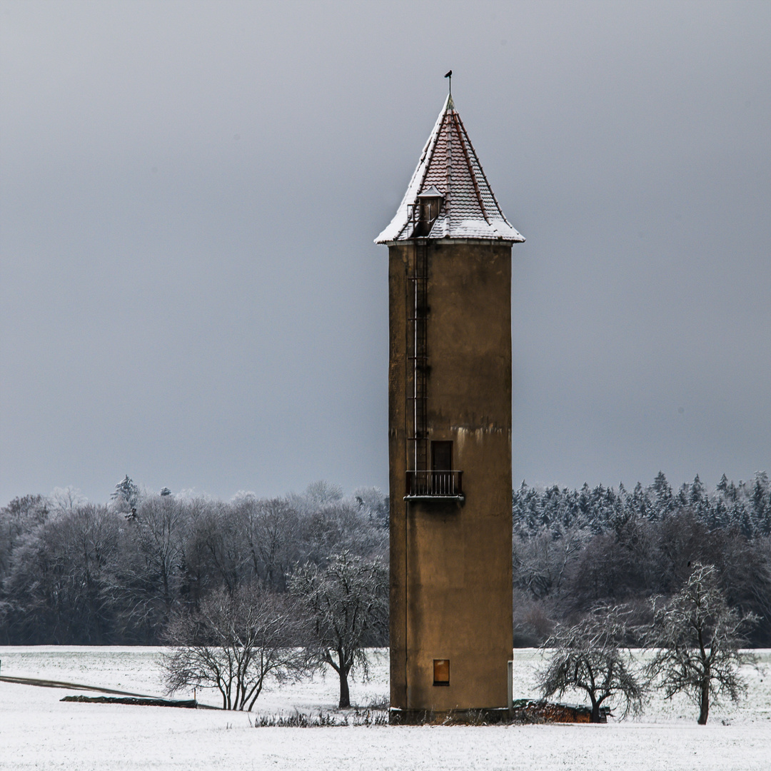 Buchhof