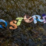 buchstäblich ins Wasser gefallen