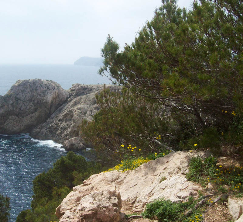 Bucht auf Mallorca