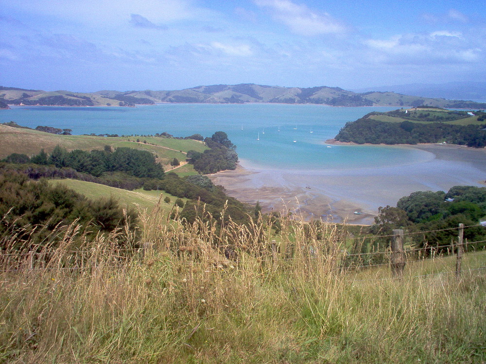 Bucht auf Waiheke