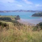 Bucht auf Waiheke