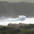 Bucht bei Doolin (Irland)