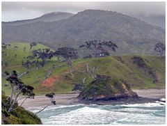 Bucht bei Rusell in der Bay of Islands Nordinsel von NZ