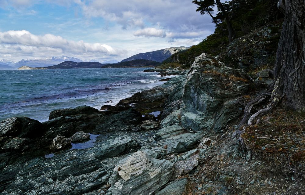 Bucht im Tierra del Fuego Nationalpark