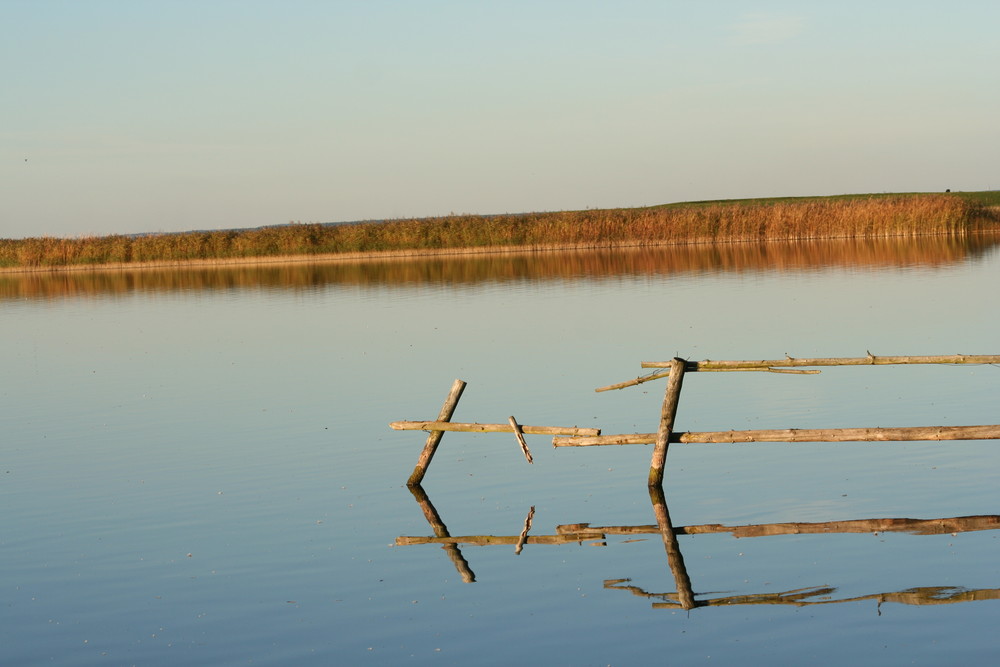 Bucht in der Müritz