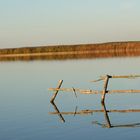 Bucht in der Müritz