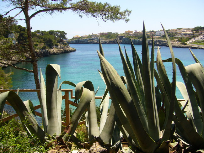 Bucht in Porto Cristo