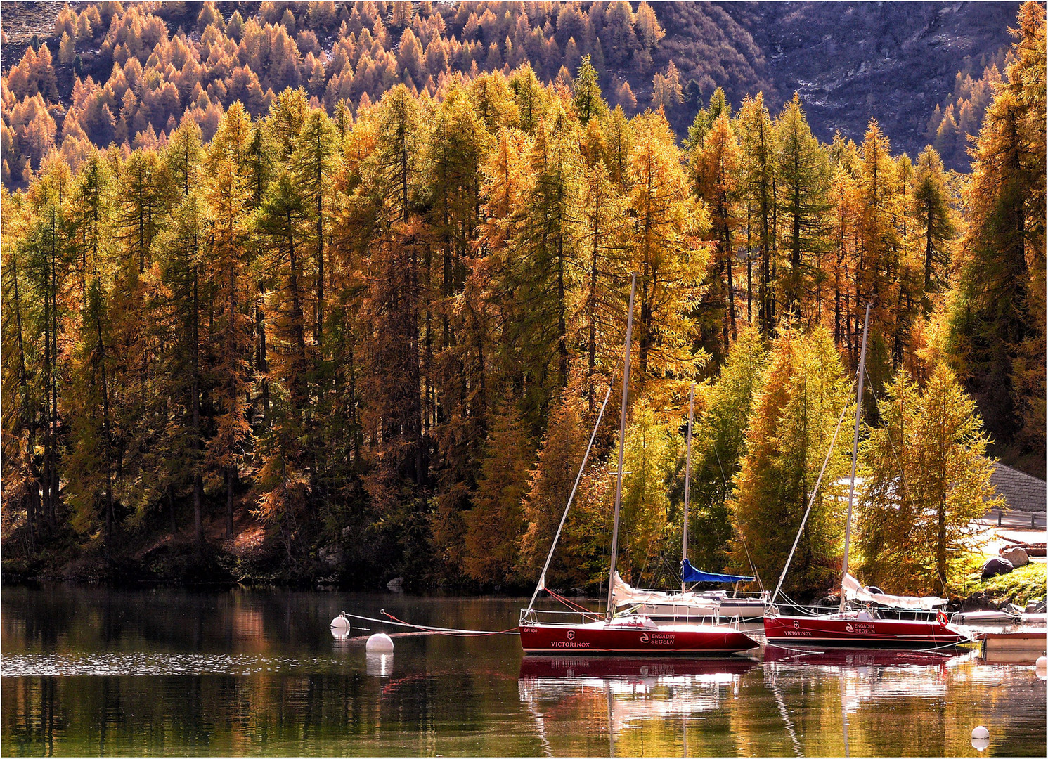 Bucht-vom-Silsersee