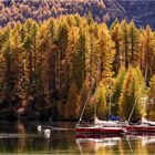 Bucht-vom-Silsersee