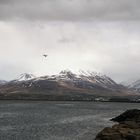 " Bucht von Akureyri "....Island 5